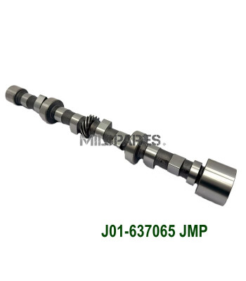 Camshaft, chain drive